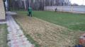 Уход за газоном и устройство цветников