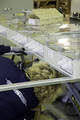 Энергетическая продукция